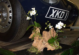 Corporate Flowers Photo 1