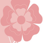 Lily Lous Cakes